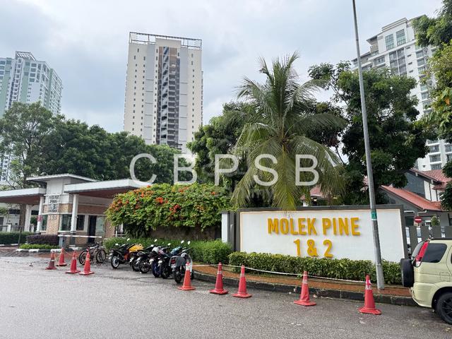 Molek Pine 2 1