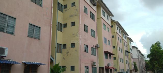 Dahlia (Seremban) 1