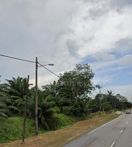 3.66 Acres Roadside Agriculture Land, Pontian Johor 1