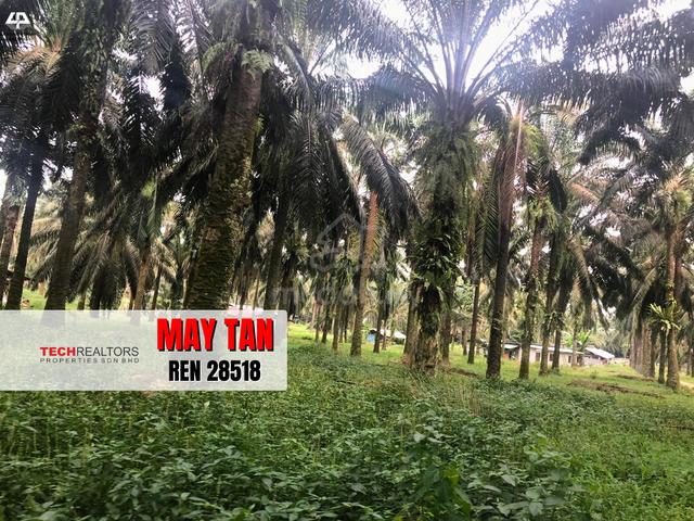 Permatang Tinggi Land RESIDENTIAL ZONING near ALMA BM Iconic Point 1