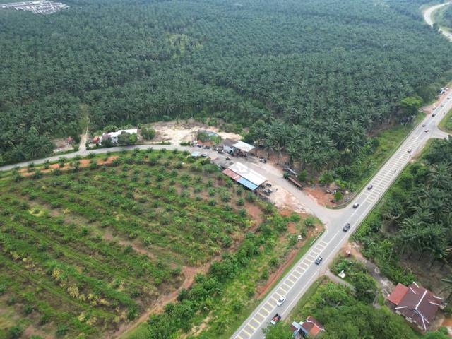 Sidam Kiri Beside Road Agricultural Land Pokok Sawit For Sale 1