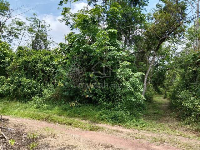 Tanah (Bangunan) Mukim Jabo, Pasir Mas untuk dijual (nego sampai jadi) 1