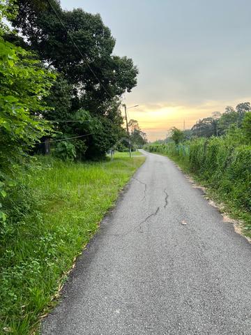 Prime Roadside Agricultural Land for Rent – Tiroi, Labu 1