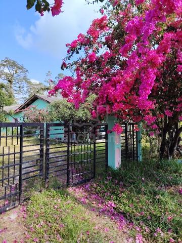 1.89 acres Tai Hong with Durian , House, Small car access, Kota Tinggi 1
