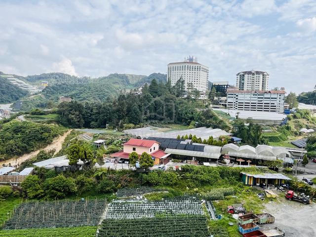 Aranda Nova @ Cameron Highlands 5