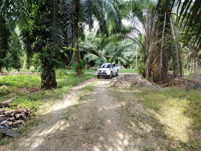 Sijangkang Land Telok Panglima Garang 📌5 Acres 📌Beside Tar Road 4