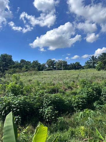 【Near Main Road】Jalan Permata @ Ulu Tiram Agricultural land 1