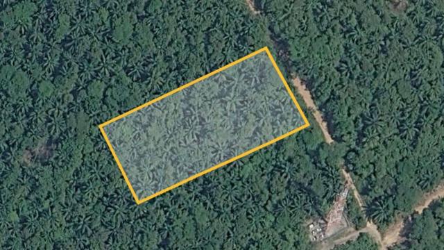 [ADA REZAB JALAN] Tanah 1 Ekar Bukit Dugang Sungai Merab Untuk Dijual 1