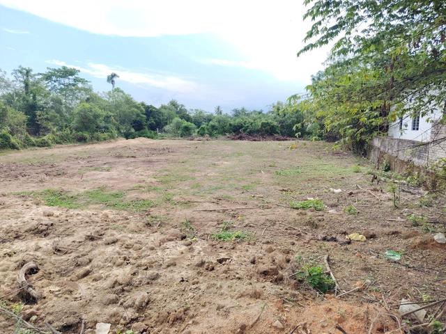 Simpang Ampat, Alor Gajah, Mukim Tabong Naning, Freehold 1
