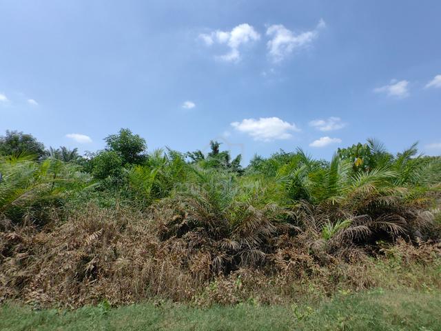 Industrial Land for Sale @ Sg Rambai, Telok Panglima Garang, Banting 2