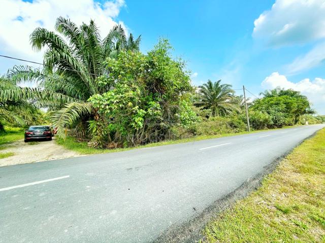 9.8 Acres Agri Land, Banting, Olak Lempit, Can Convert to Industry 3