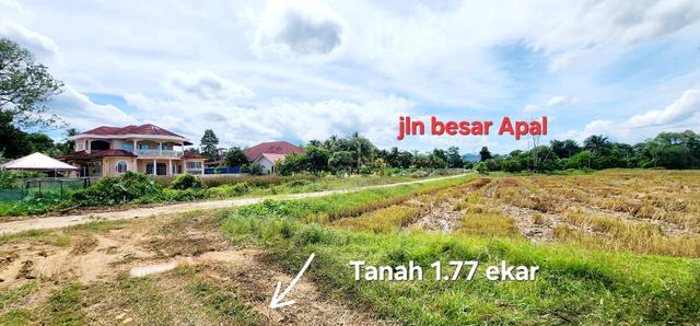 Tanah tepi Sawah padi Apal Besut Terengganu 1