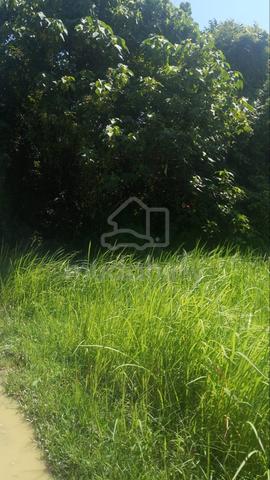 Tanah Untuk Dijual ( PASIR MAS CHETOK ) 1