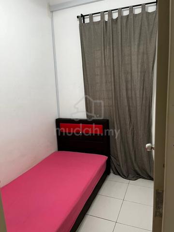 Residensi Lili @ Taman Bucida Hijauan 1
