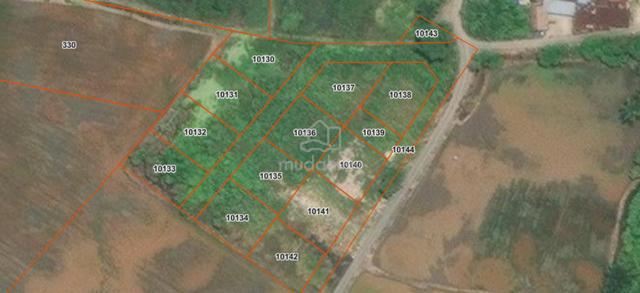 Lot 10135 & Lot 10137 1