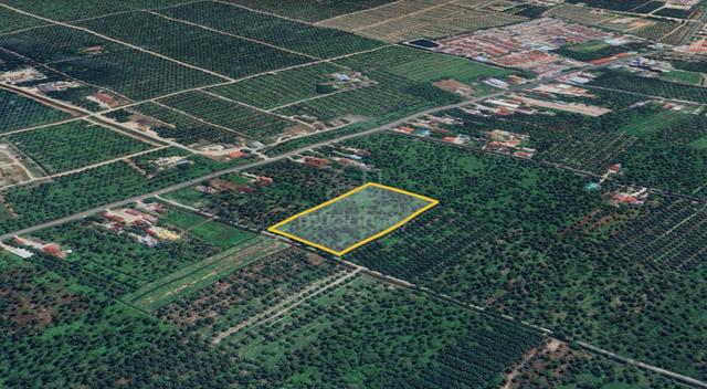 Tanah Pertanian Pokok Kelapa Untuk Dijual di Selekoh Bagan Datuk 1
