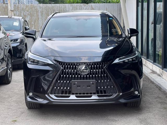 2023 Lexus NX250 2.5 LUXURY MARK LEVINSON - 1