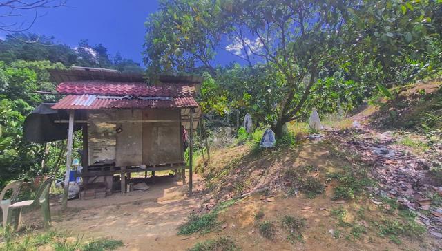 Tanah Pertanian di Kg. Sungai Mahang 1