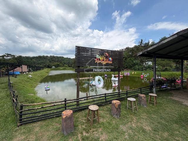 3.8 Acres | Ready Farmstay, Event Venue & Fishing Ponds | Kerling 1