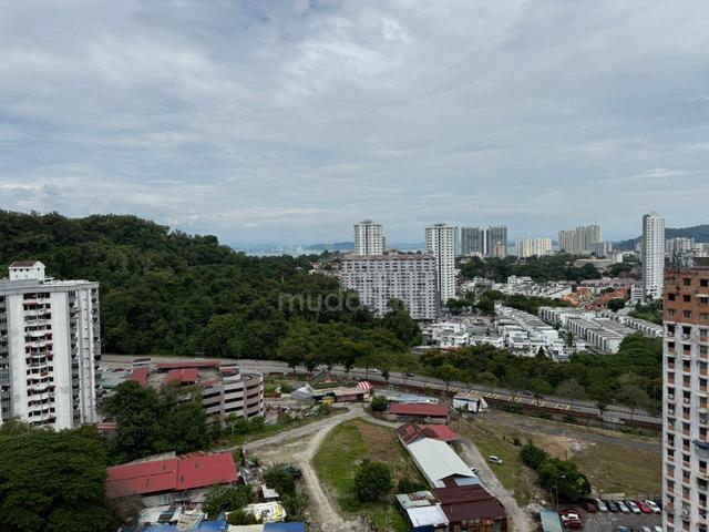 Gambier Heights 1