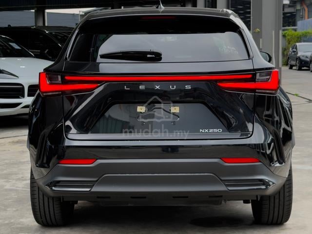 2023 Lexus NX250 2.5 LUXURY (A) - 5