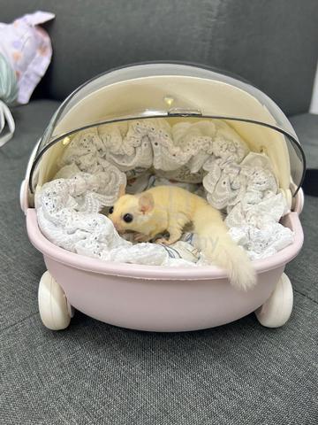Carousel Image