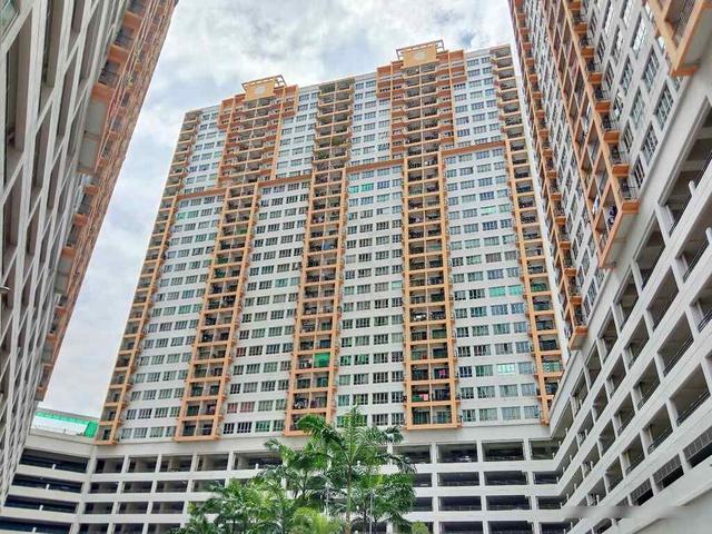 OUG Parklane 1