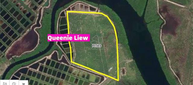CL99 Agriculture Land Kampung Sungai Telaga Pitas Kota Kinabalu Sabah 1