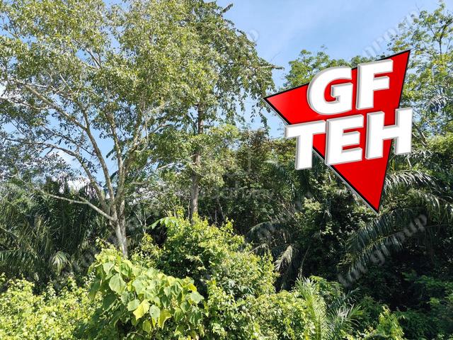 6.85acres Agricultural Land | Lenggong | Perak | Rm3.21psf k 4