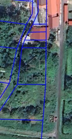 Agriculture Land For Sale at Balik Pulau, Penang -11000sqft - 1