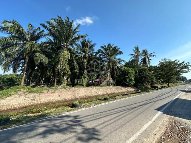 Agriculture Land Jalan Parit Raja Darat Muar 1