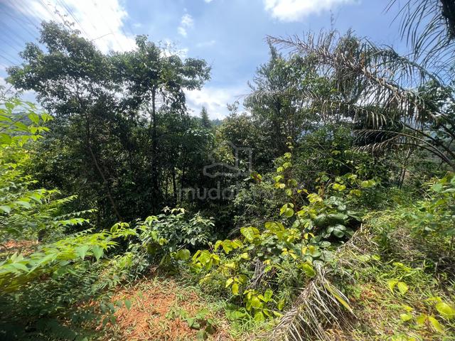 1.05 acres Agricultural land Ampangan Paroi Bukit Putus SEREMBAN 1