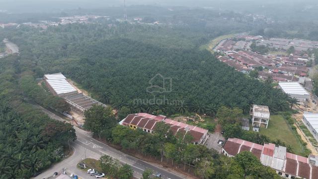 Bemban Utama Melaka Freehold Agricultural Land For Sale | 12.70 Acres 1