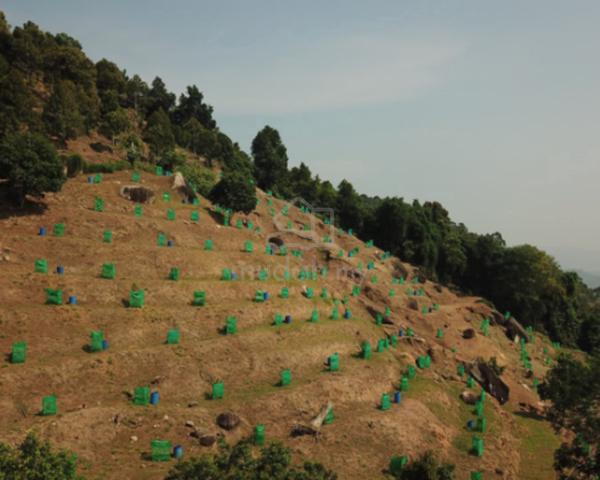 Durian Farm For Sale - Balik Pulau Penang 1