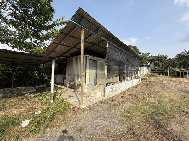 PD Land for Sale 1