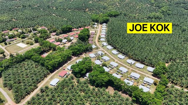 Palm oil plantation | kelantan |gua musang 1