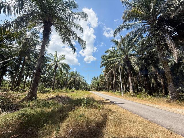 9 Acres Land for Sale at Kubang Semang | Roadside 1