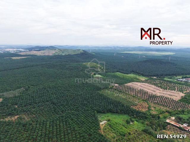 EASY ACCESS Agriculture Land Bukit Selambau FOR SALE 1