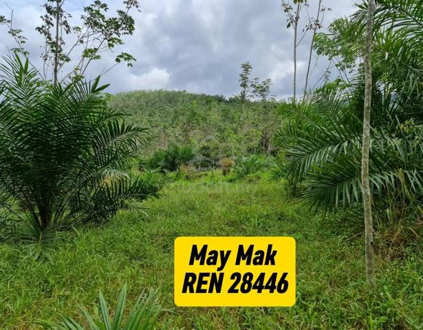 【FREEHOLD】Agriculture Land Selandar Melaka 3.5 acres for Sale 1