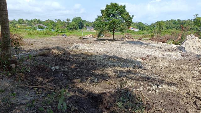 Pembukaan plot baru status Pertanian area Pengkalan Balak 1