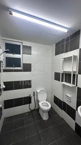 Royale Infinity 1