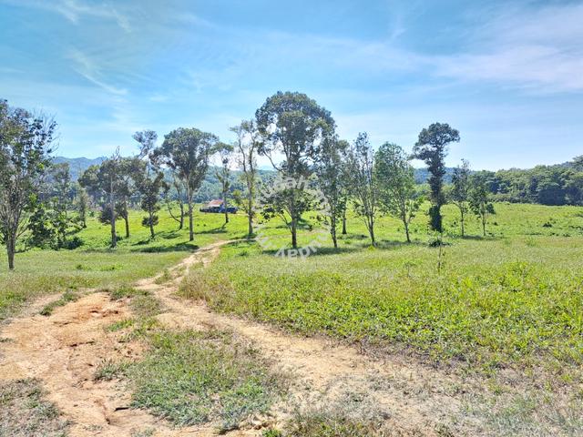 Agriculture Land Kerling, Hulu Selangor 162.6 EKAR 3