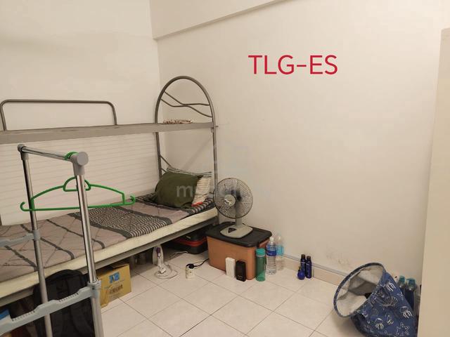 Palm Garden Apartment 1
