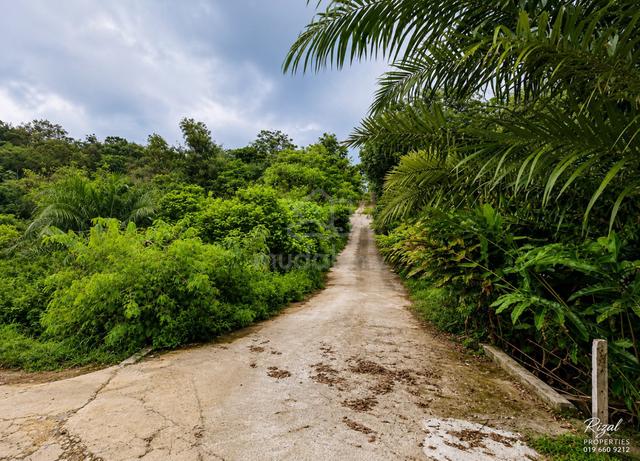 Tanah Lot Kediaman Lorong Teratai Kampung Kuang Sungai Buloh 1