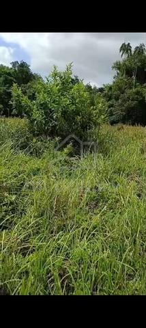 Tanah Penampang 1.48 Ekar Untuk Dijual. 1