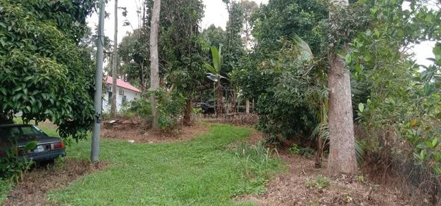 Keluasan tanah 1/2 ekar
Geran mukim dan rezab melayu 
 3