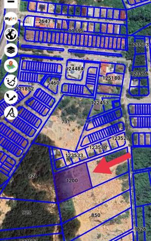 TANAH PERTANIAN BUKIT PELINDUNG Kuantan UNTUK DIJUAL!!! 1