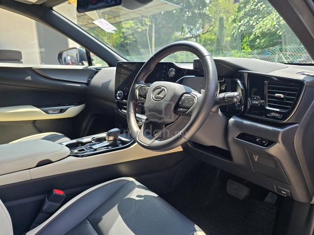 2022 Lexus NX250 2.5 Version L Luxury 4.5B/12k km - 5