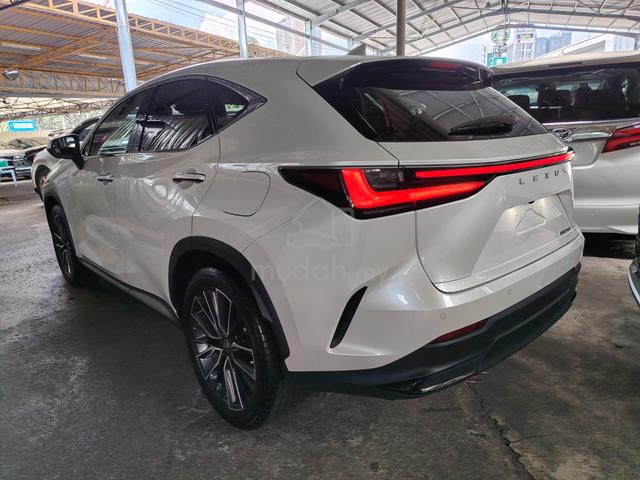 2023 Lexus NX 250 2.5 VERSION L 360 CAMERA Grade5A - 3