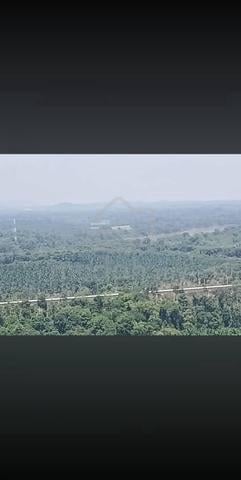 tanah di bukit Chenor untuk dijual 1